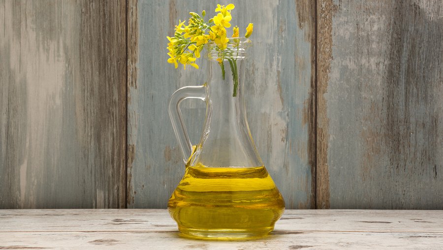 Myth or Fact: Is Canola Oil Healthy or Bad?