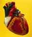 Heart Disease Prevention, Heart Health