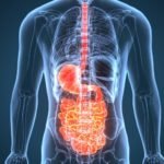Digestive System Natural Remedies