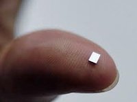 Microchip implant