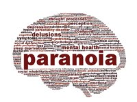 Paranoia, stress and anxiety