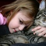 Cat Ownership Health Benefits | Natural Health Blog
