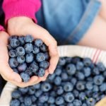 Health Benefits Blueberry Picking | Health Blog