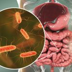 gut-bacteria-weight-loss.jpg