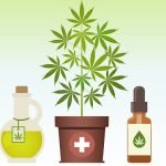 cbd-cannabis-oil-health-benefits.jpg