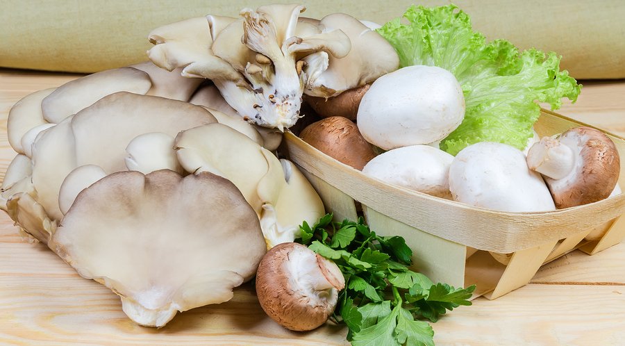 Eating Mushrooms Protects Your Brain