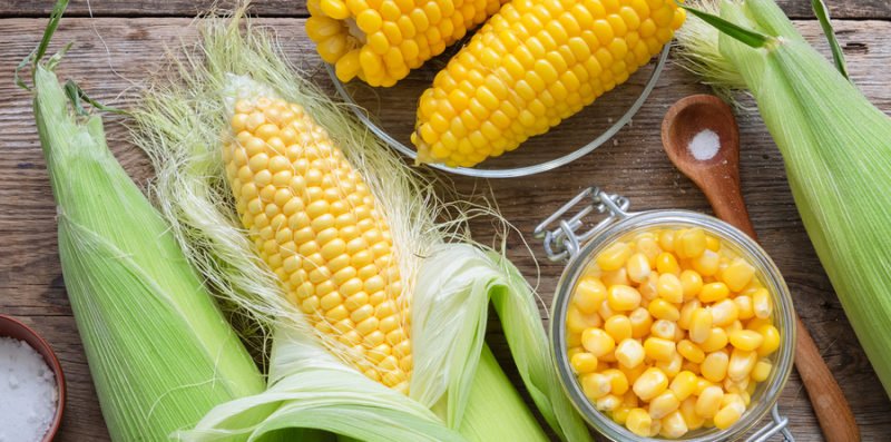 is corn on the cob good for your kidneys